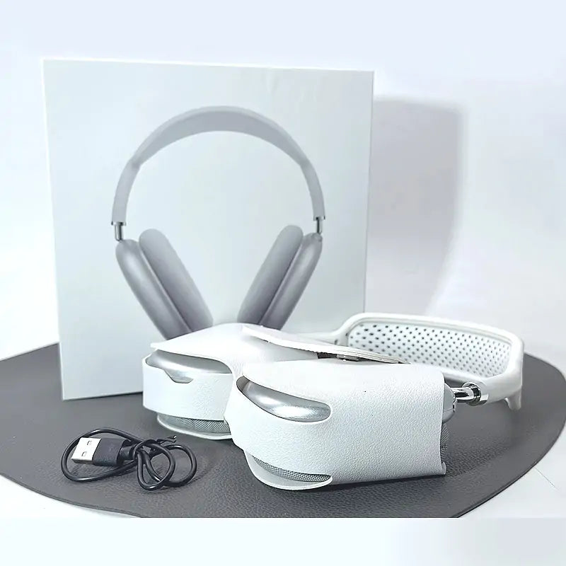 Earphones/Headphones